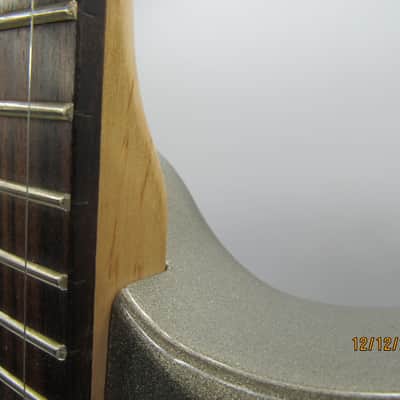 Washburn WI 14 in Gray Silver Metallic image 4
