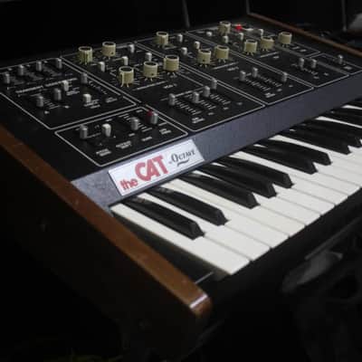 The Cat by Octave Vintage 37 Key Analog Duophonic Synthesizer image 1