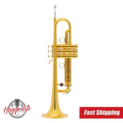 B&S Personality Benny Brown Trumpet - Gold Lacquer with Case image 1