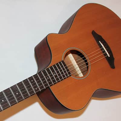 Breedlove Passport C250/CMe Acoustic-Electric Guitar image 5