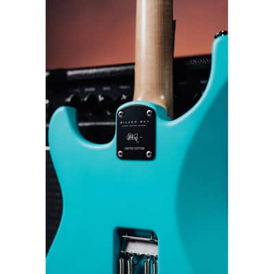 PRS Silver Sky Limited Edition Wild Blue 2026 image 6
