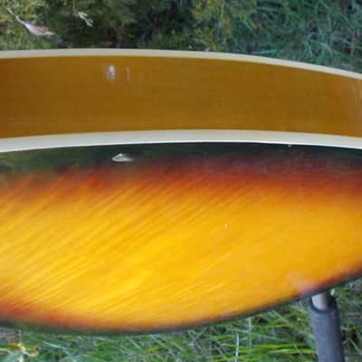 Danelectro Teardrop/Coral 1969 3-Color Sunburst Electric Guitar image 9