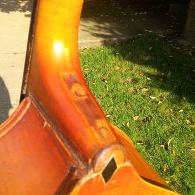 Kay 5 String-3/4 Upright Bass, Bass Fiddle, Double  Bass-Shop Setup-w/Ultralite Case and Bow image 5