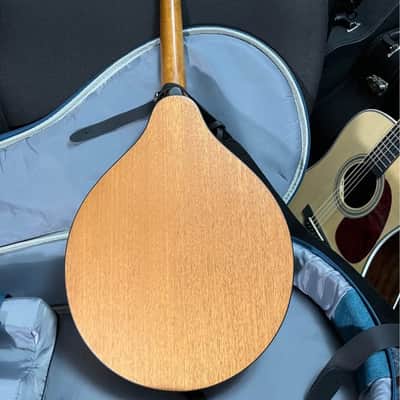 Eastman PCH-M-104 2026 - Goldburst/ Satin image 2