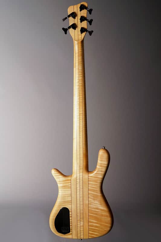 Warwick Streamer Stage 1 5 | Reverb