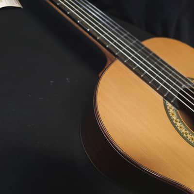 New Alhambra 4P Solid Top Classical Nylon String Guitar Made in Spain Logo'd Gig Bag image 13