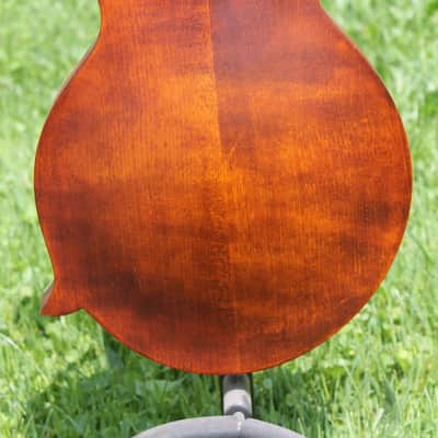 eastman md315 image 7