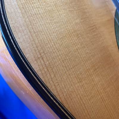 2023 Stefan Nitschke "Vicente Arias" SP/CY Classical Guitar image 16