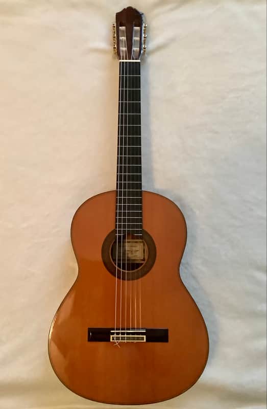Yamaha GC-5 1979, Hideyuki Ezaki image 1