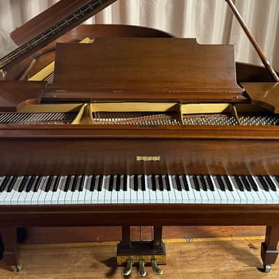 Steinway & Sons M 1927 - Mahogany Satin 256922 image 16