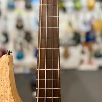 ESP LTD B-204SM Fretless Bass Guitar - Natural Satin image 9