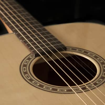 Washburn D7S | Harvest Series Solid Spruce Top Dreadnought. New with Full Warranty! Bild 2