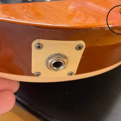 2012 Gibson Les Paul Standard Bass – Goldtop, Rare Oversized Body, Original Case image 19