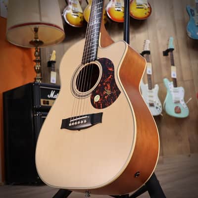 Maton EBG808TEC Tommy Emmanuel image 6
