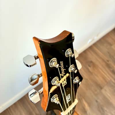 PRS SE Alex Lifeson Signature Thinline 2016 - 2017 - Natural image 9
