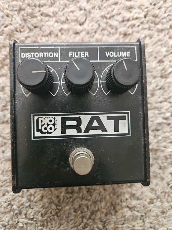 ProCo Whiteface Rat