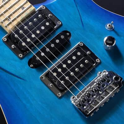 G-Life Guitars [USED] DSG Classic / Royal Blue Turquoise image 4