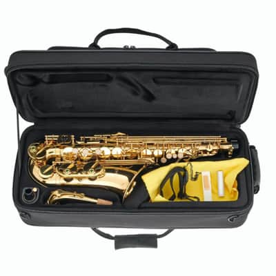 Immagine Apollo AAS23 Alto Saxophone 2026 - Brass - 3