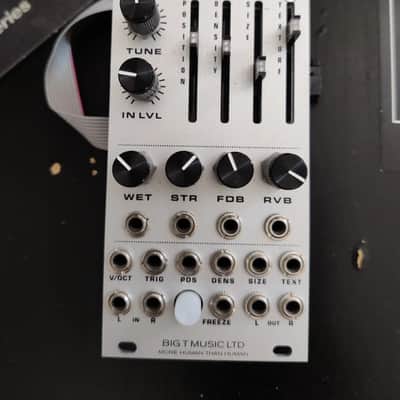 Big T Monsoon Mutable Instruments Clouds Clone Eurorack Module image 1