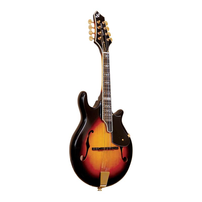 Gold Tone GM-110 Rigel Mandolin image 1
