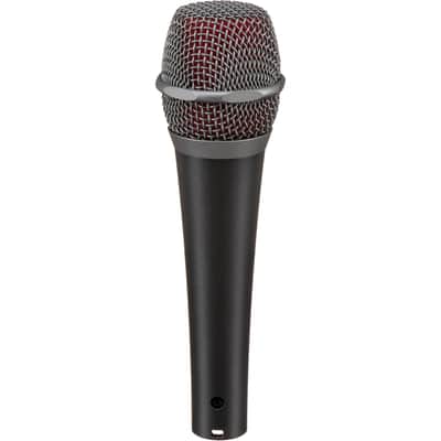 Immagine sE Electronics V7 Dynamic Microphone - 2