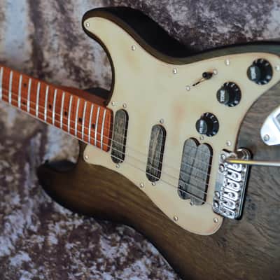 GB Liuteria Traditional Strato  Vegatrem - Bog Oak image 14