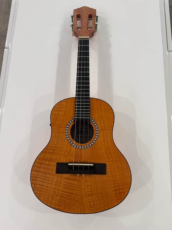 Vogga VCC630EQ MS Electro-Acoustic Cavaquinho (Imported from Brazil) image 1