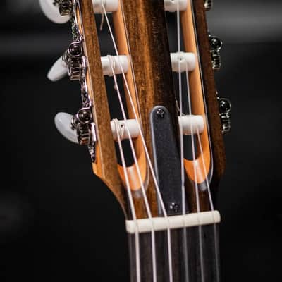 Taylor 214ce-N Nylon Grand Auditorium Acoustic/Electric Guitar with Gig Bag - Factory Demo image 5