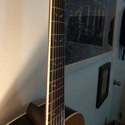 Orangewood ECHO live 12-string 2020-2024 - Gloss image 8