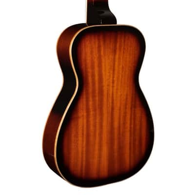Gold Tone PBS-D Paul Beard Signature Series Resophonic Deluxe Squareneck Guitar Left-Handed w/case image 6