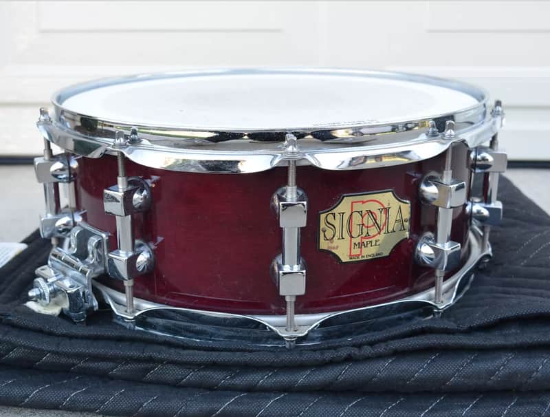 Premier Signia 14x5.5" 10-Lug Maple Snare Drum 1992 - 2003 image 1