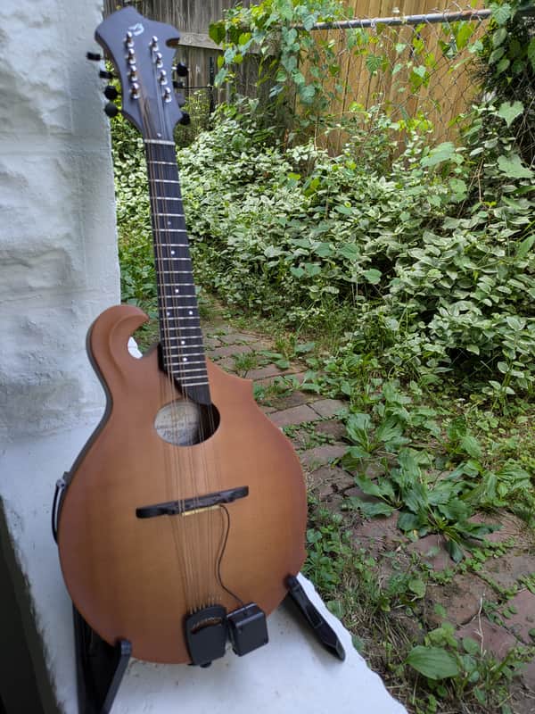 Breedlove American FO Mandolin Bild 1
