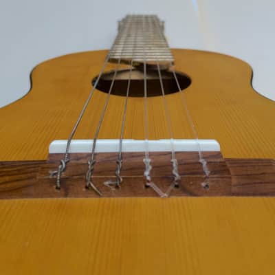 Yamaha Guitalele w/ pro LR Baggs FIVE.O Pickup - GL-1 6-String Ukulele image 18