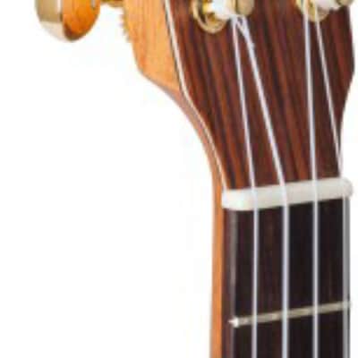 Kremona Coco Concert Ukulele Cedar / Rosewood w/ Pickup. New with Full Warranty! image 3