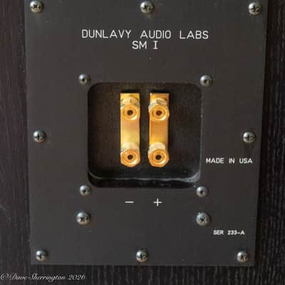 Dunlavy Audio Labs SM-1 Speakers + Stands image 8
