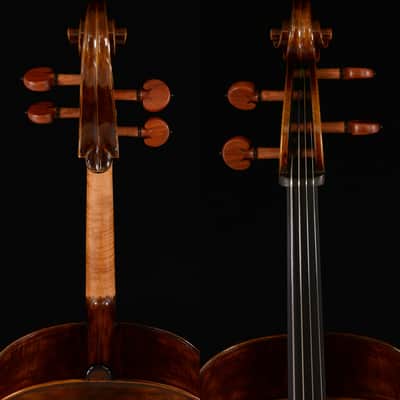 Fantastic Sounding Cello Montagnana Cello Model Chestnut Color No.W006 image 3