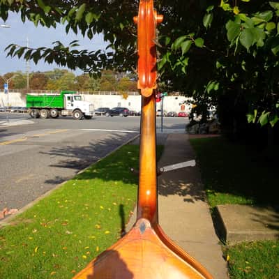 Kay 5 String-3/4 Upright Bass, Bass Fiddle, Double  Bass-Shop Setup-w/Ultralite Case and Bow image 6