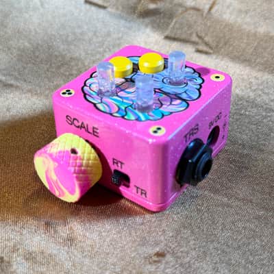 Pedalbrainz Left Brain image 9