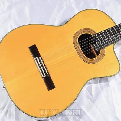 Takamine NPT 315 | Reverb