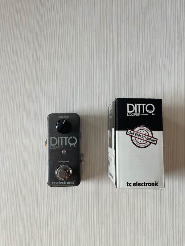 TC Electronic Ditto Looper 2013 - Present - Black image 1