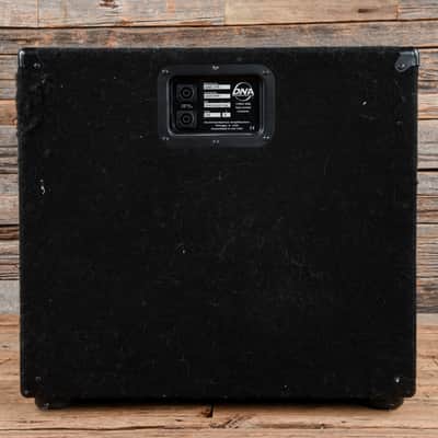DNA Amps DNS-210 2x10 Bass Cabinet image 3