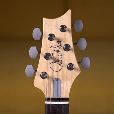New PRS Silver Sky Rosewood - Faded Black Tee image 5