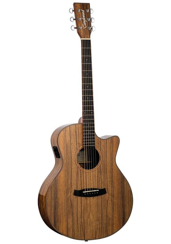 TANGLEWOOD GUITARRA ACÚSTICA TANGLEWOOD SERIE WINTERLEAF EXOTIC PACIFIC WALNUT image 1