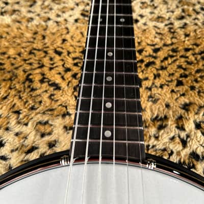 Gold Tone AC-6+ 6-String Acoustic-Electric Banjo Natural 2025 image 5