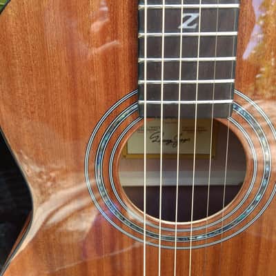 Zager Travel Guitar 2022 Mahogany image 10