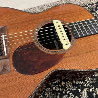 Rasmussen Parlor - Cedar top - Hi gloss natural image 6