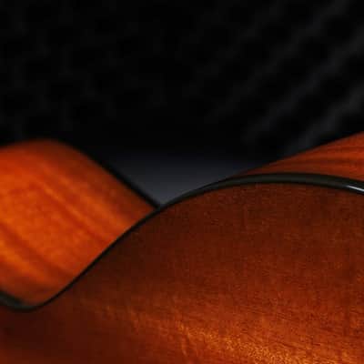 Taylor Guitar - 50th Anniversary 314ce LTD (2025 or Earlier) image 6