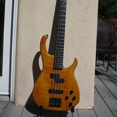 Modulus Bassstar SP-24 1980s Amber image 1