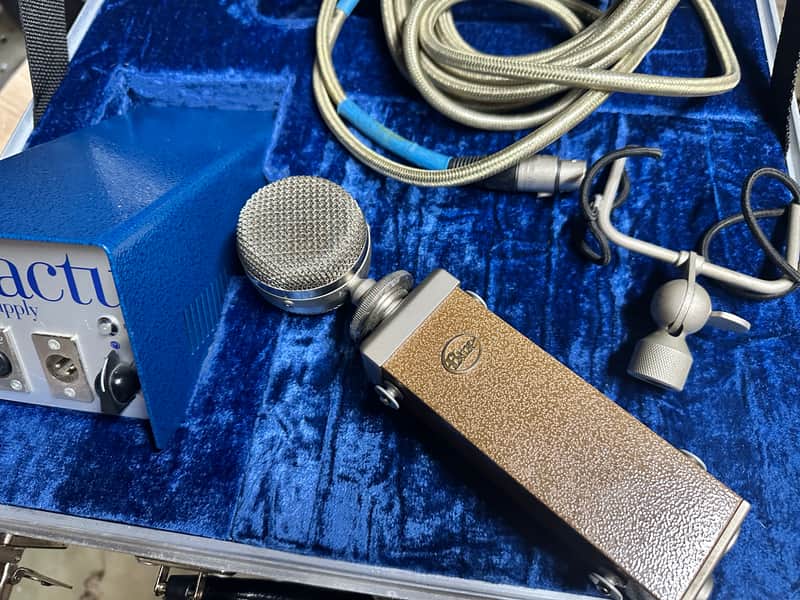 Immagine Blue Cactus Multi-Pattern Tube Condenser Mic - Sounds Amazing! - 1