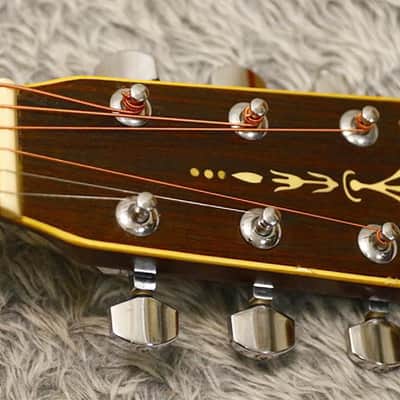 1977 made MILES 2000 D-25 Solid top Vintage Acoustic Guitar Made in Japan image 18